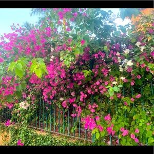 Meet your Posher, Kendra